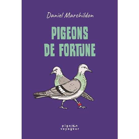 Pigeon de fortune (9à12ans)