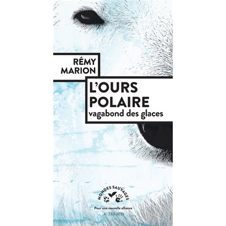 L'ours polaire : vagabond des glaces, Mondes sauvages, pour une nouvelle alliance