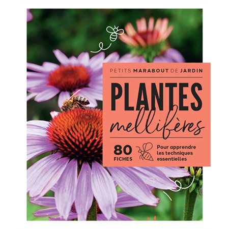 Plantes mellifères : 80 fiches pour apprendre les techniques essentielles