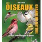 Les oiseaux grandeur nature : Le grand livre des oiseaux du Québec