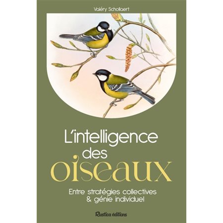 L'intelligence des oiseaux
