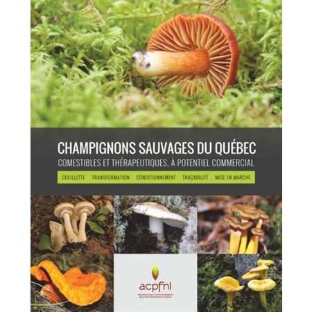 Champignons sauvages du Québec, comestibles et thérapeutiques